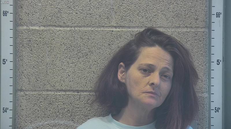 Booking photo of Carmen Frye