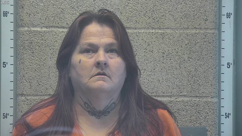Booking photo of April Wilson