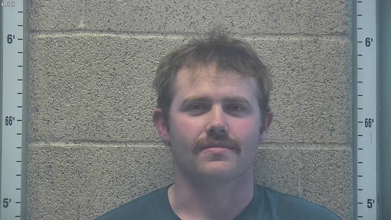 Booking photo of Brayden Brown