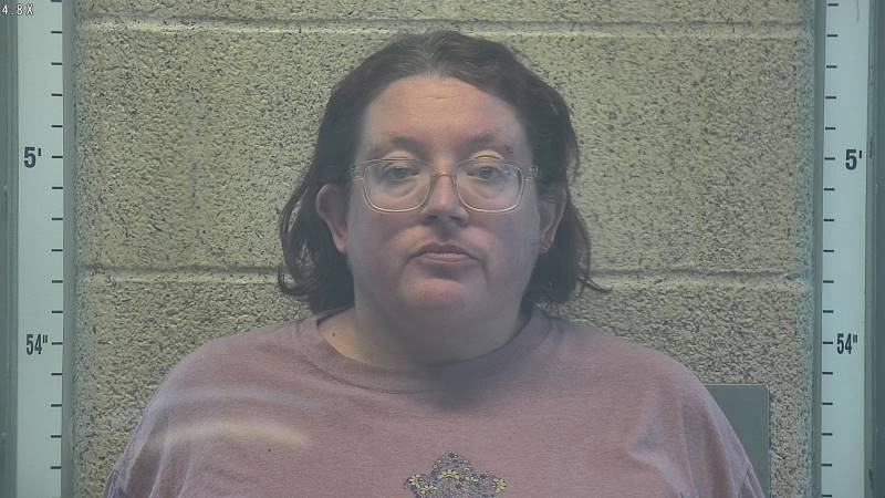 Booking photo of Amanda Payne