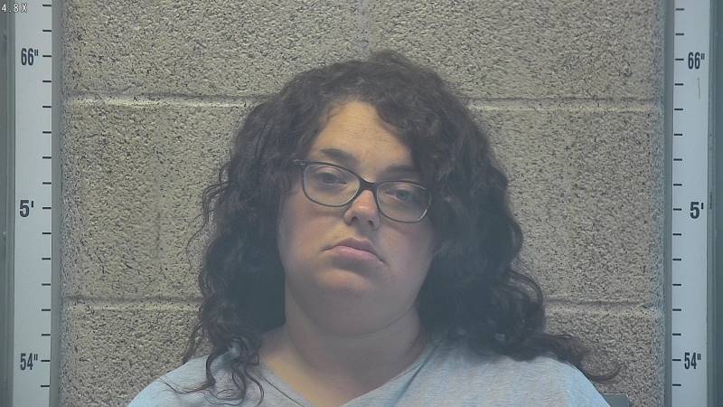Booking photo of Ashley Johnson