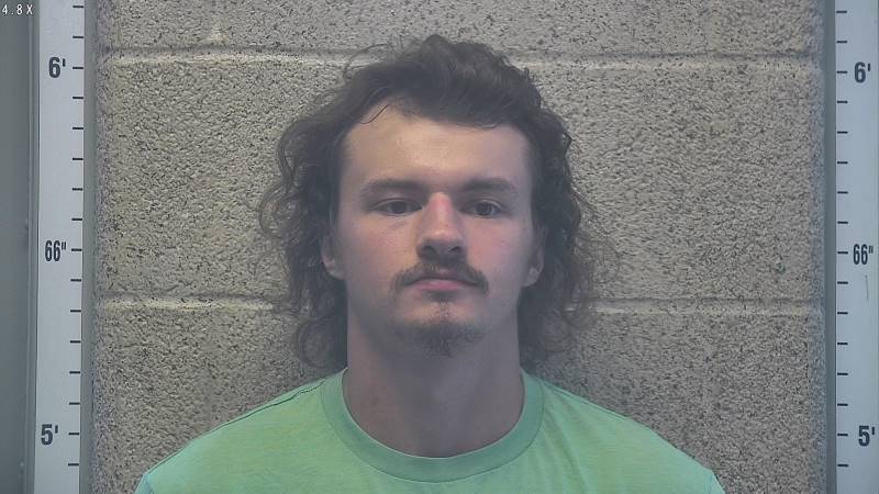Booking photo of Austin Page