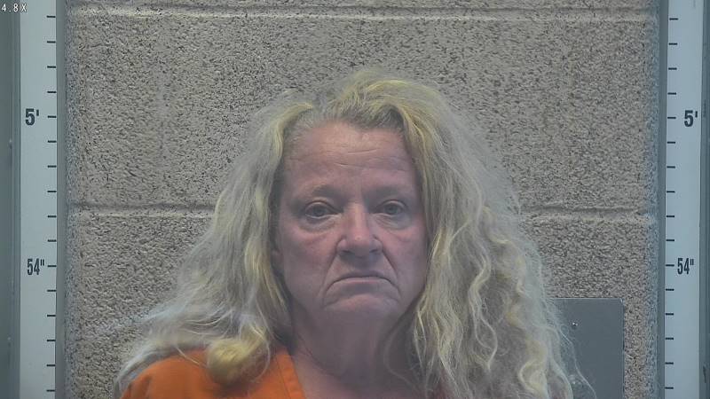 Booking photo of Karin Elliott-hobbs