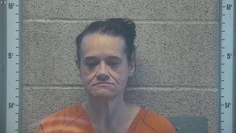 Booking photo of Dana Book