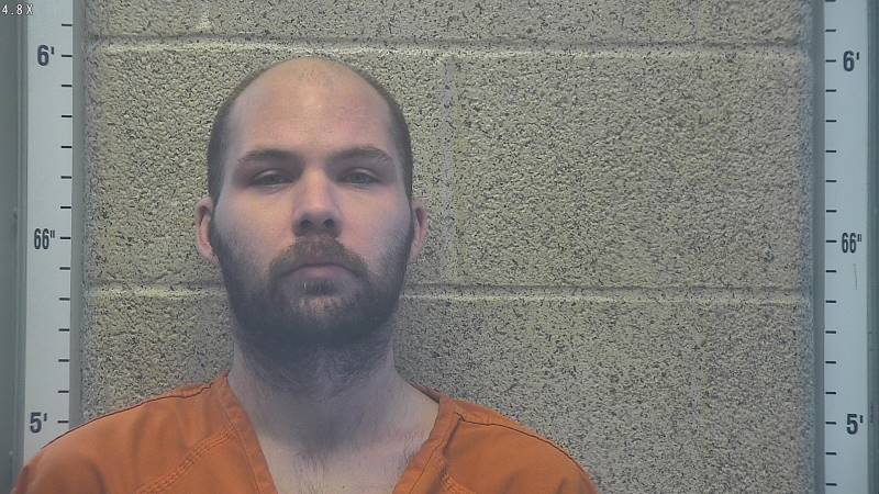 Booking photo of David Mclevain