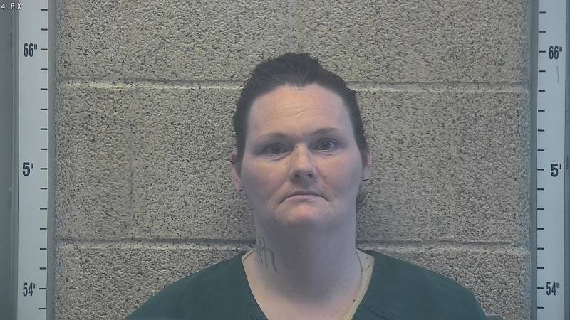 Booking photo of Tiffany Dukes