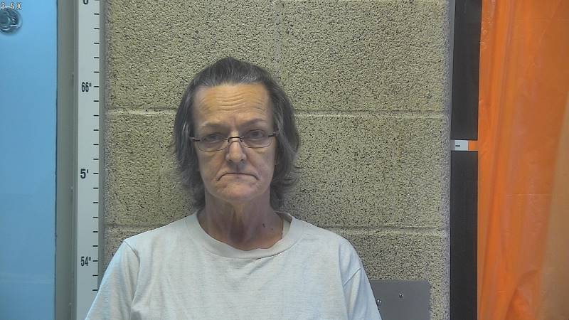 Booking photo of Lisa Beach