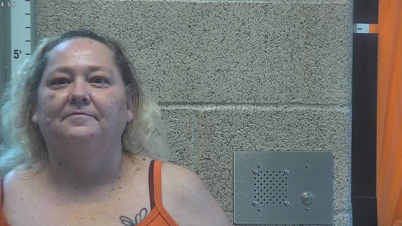 Booking photo of Audra Johnston
