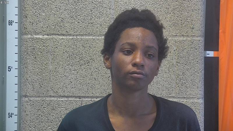 Booking photo of Kaleese Sanners
