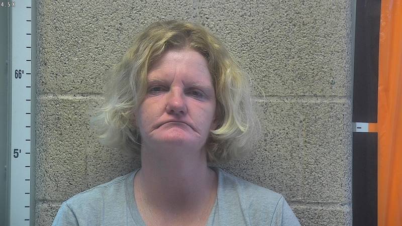 Booking photo of Tara Hurm