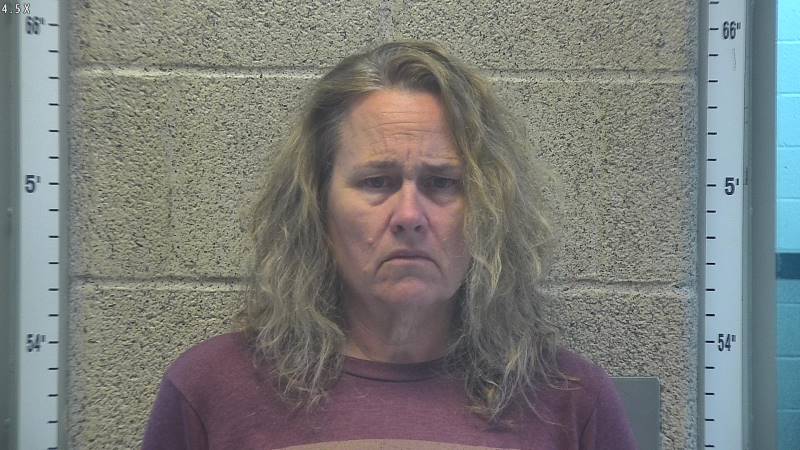 Booking photo of Julie Redler