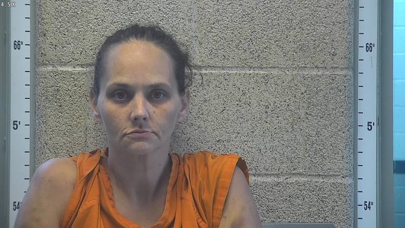Booking photo of Amber Reynolds