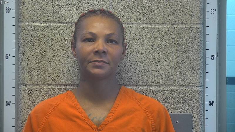 Booking photo of Samantha Morris