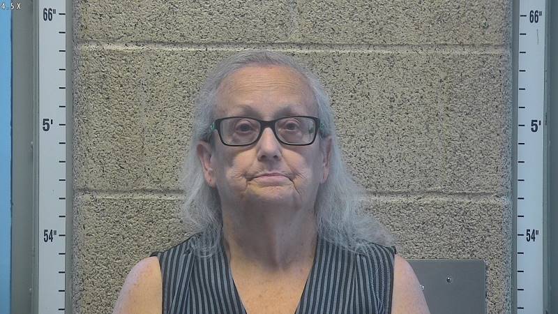 Booking photo of Cathy Bright