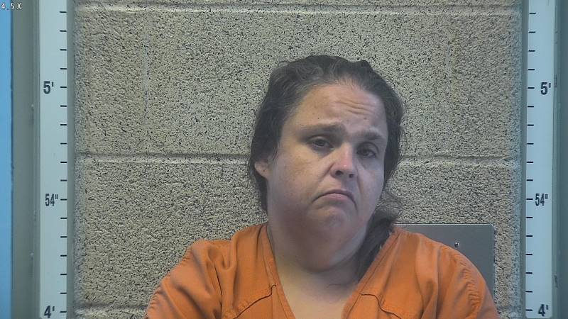 Booking photo of Ashley Ziehr