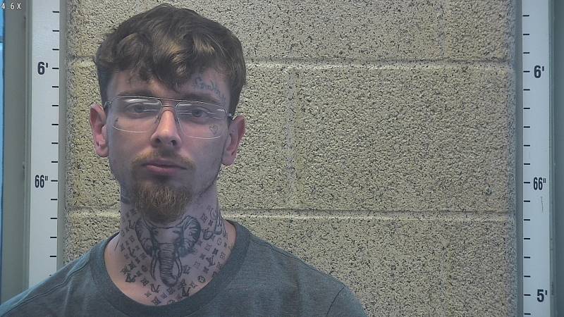 Booking photo of Memphys Mcmeans