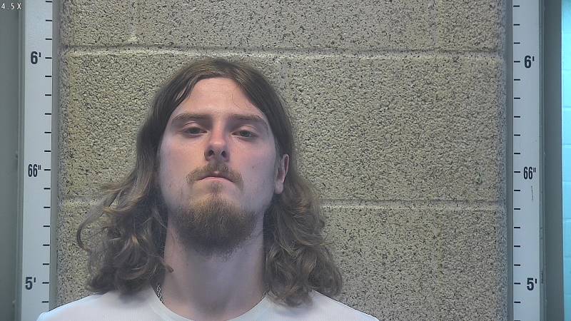 Booking photo of Elijah Wood