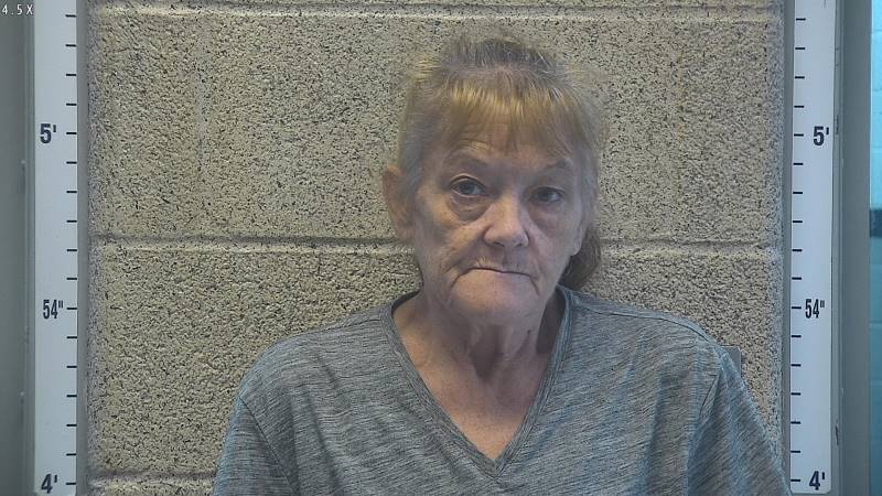 Booking photo of Jacqueline Alvey