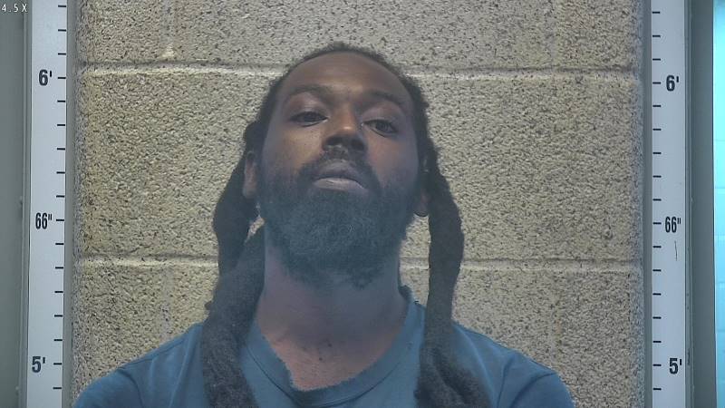 Booking photo of Jeremi Lee