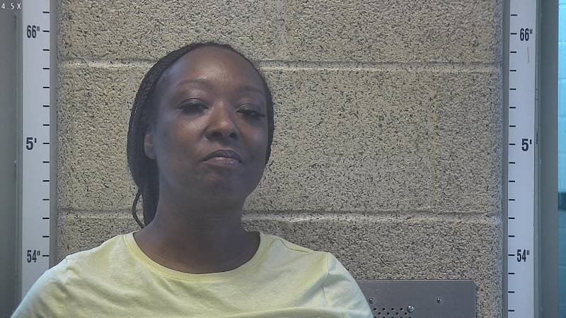 Booking photo of Andrea Johnson