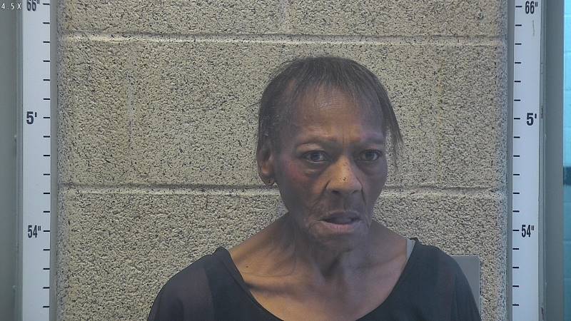Booking photo of Donna Williams