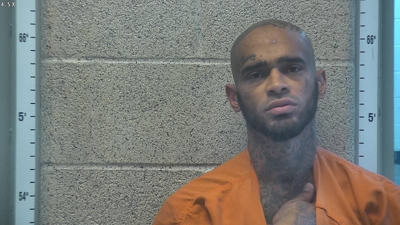 Booking photo of Matthew Cole