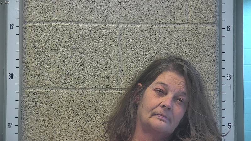Booking photo of Melissa Swearer