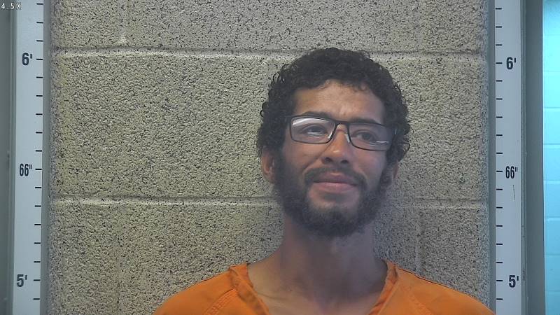 Booking photo of Timothy Brown