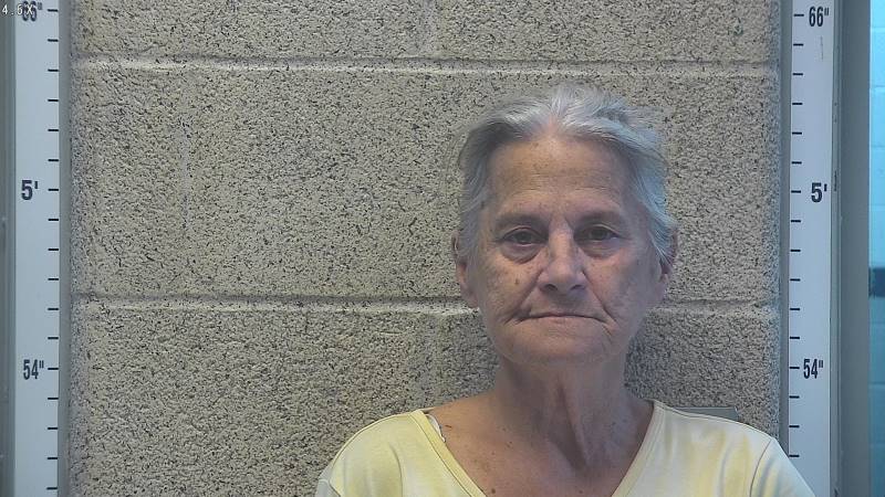Booking photo of Brenda Davis
