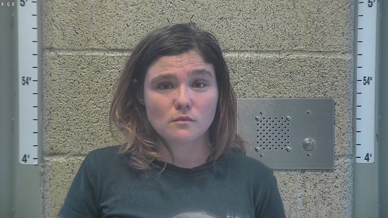 Booking photo of Hope Whitledge