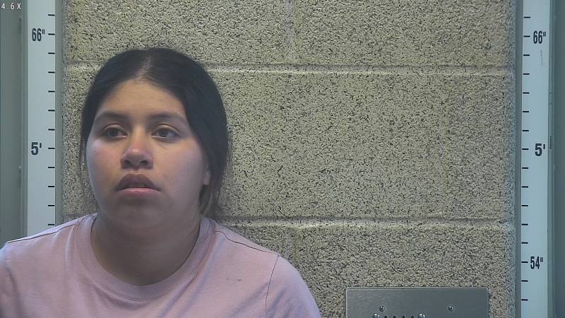 Booking photo of Lourdes Vega Suarez