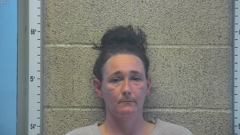Booking photo of Brittiny Gardner