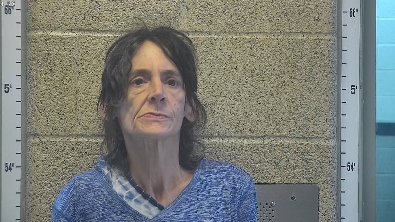 Booking photo of Denise Lavallie