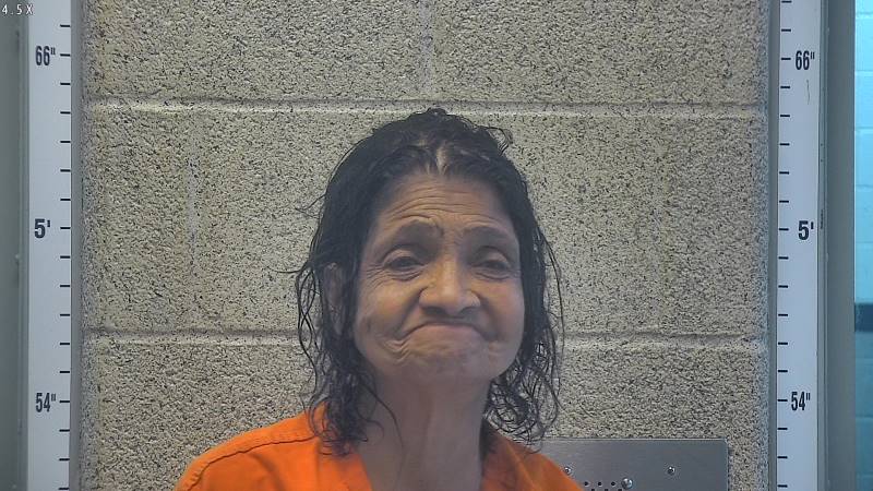Booking photo of Jacqueline Craig