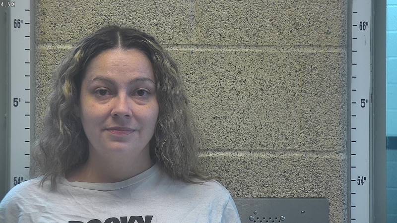 Booking photo of Ashley Hamil