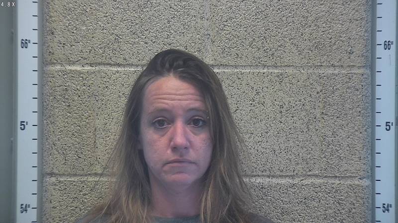 Booking photo of Shannon Wiltfang