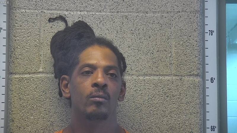 Booking photo of Brandon Lee