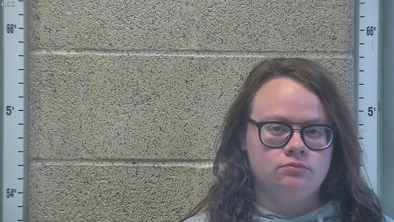 Booking photo of Hannah Allen