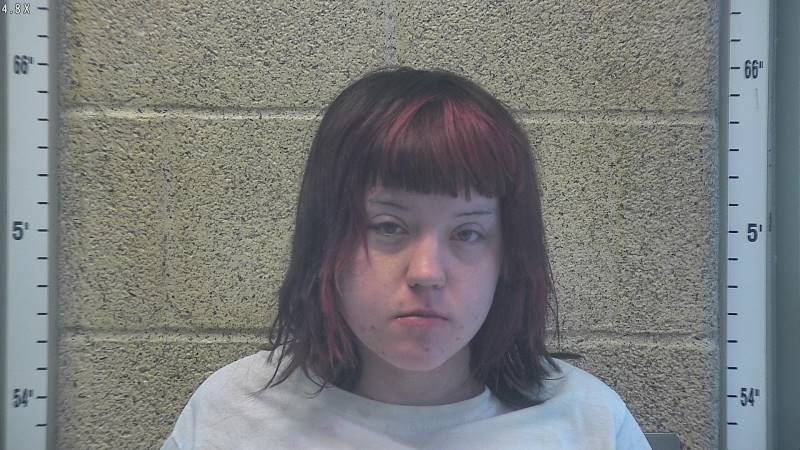 Booking photo of Morgan Ireland