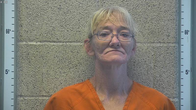 Booking photo of Cathy Lawless