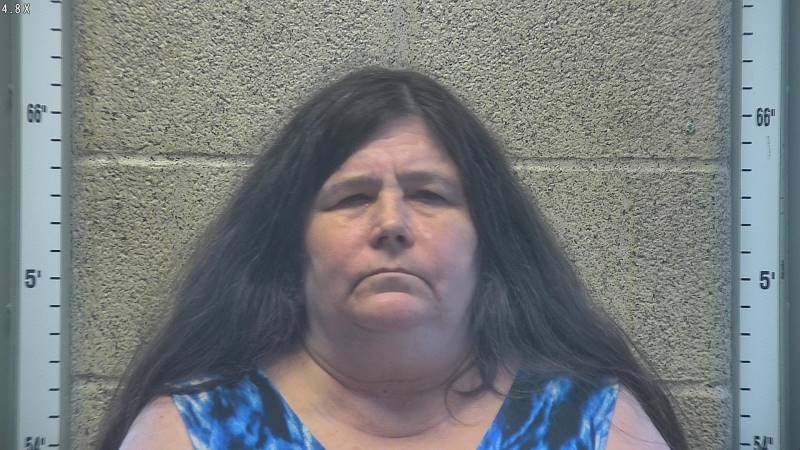 Booking photo of Anna Dillbeck