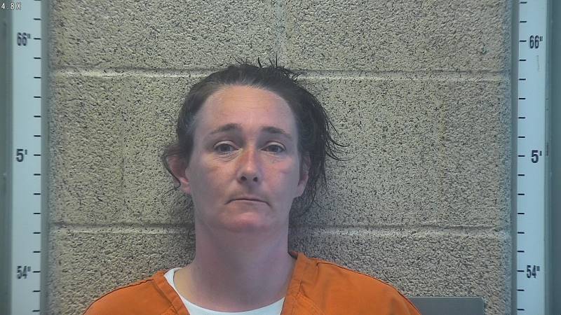 Booking photo of Brittiny Gardner