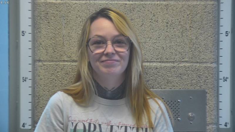 Booking photo of Maryann Fleming