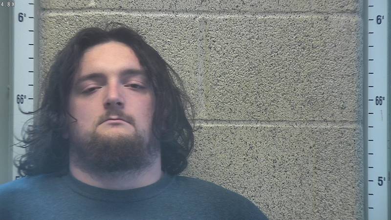 Booking photo of Brody Workman