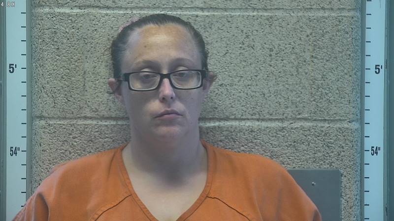 Jeanette Davis booking photo