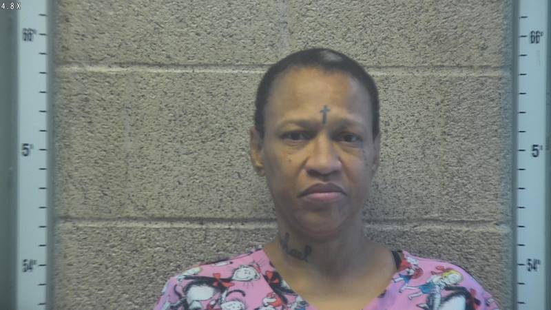 Booking photo of Erica Tapp