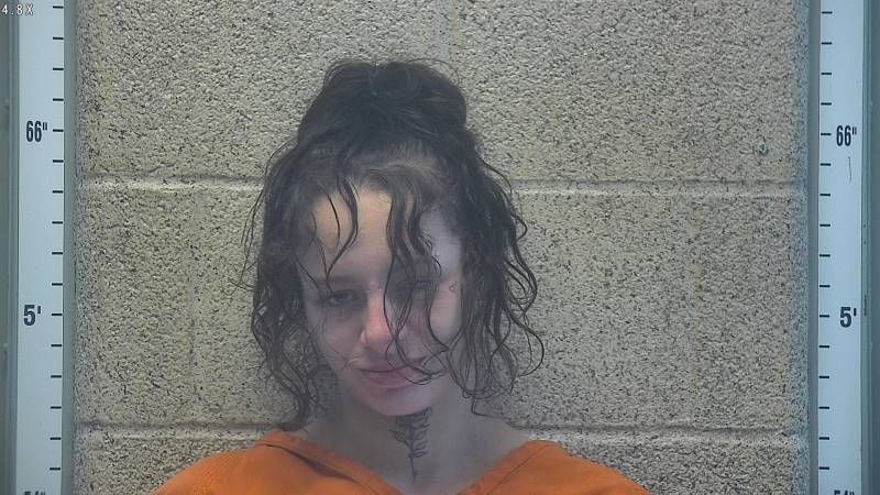 Booking photo of Erin Benthimer