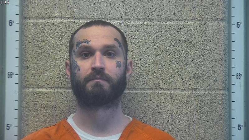 Booking photo of Travis Baird