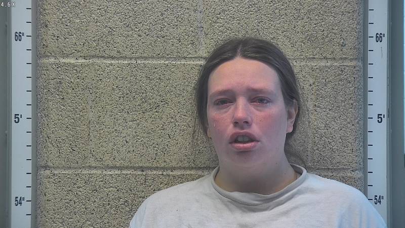 Booking photo of Brandy Calhoun-daniels