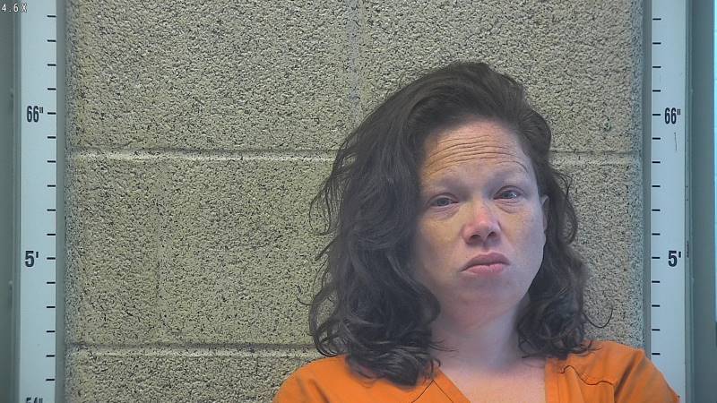 Booking photo of Ana Engesath